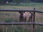 Sweden 2006-07 229